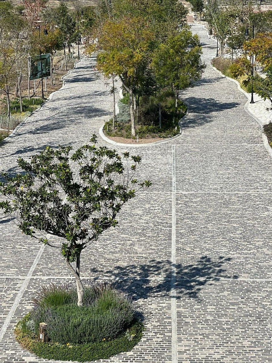 Lote em Alcocer, San Miguel de Allende, foto 5 de 14