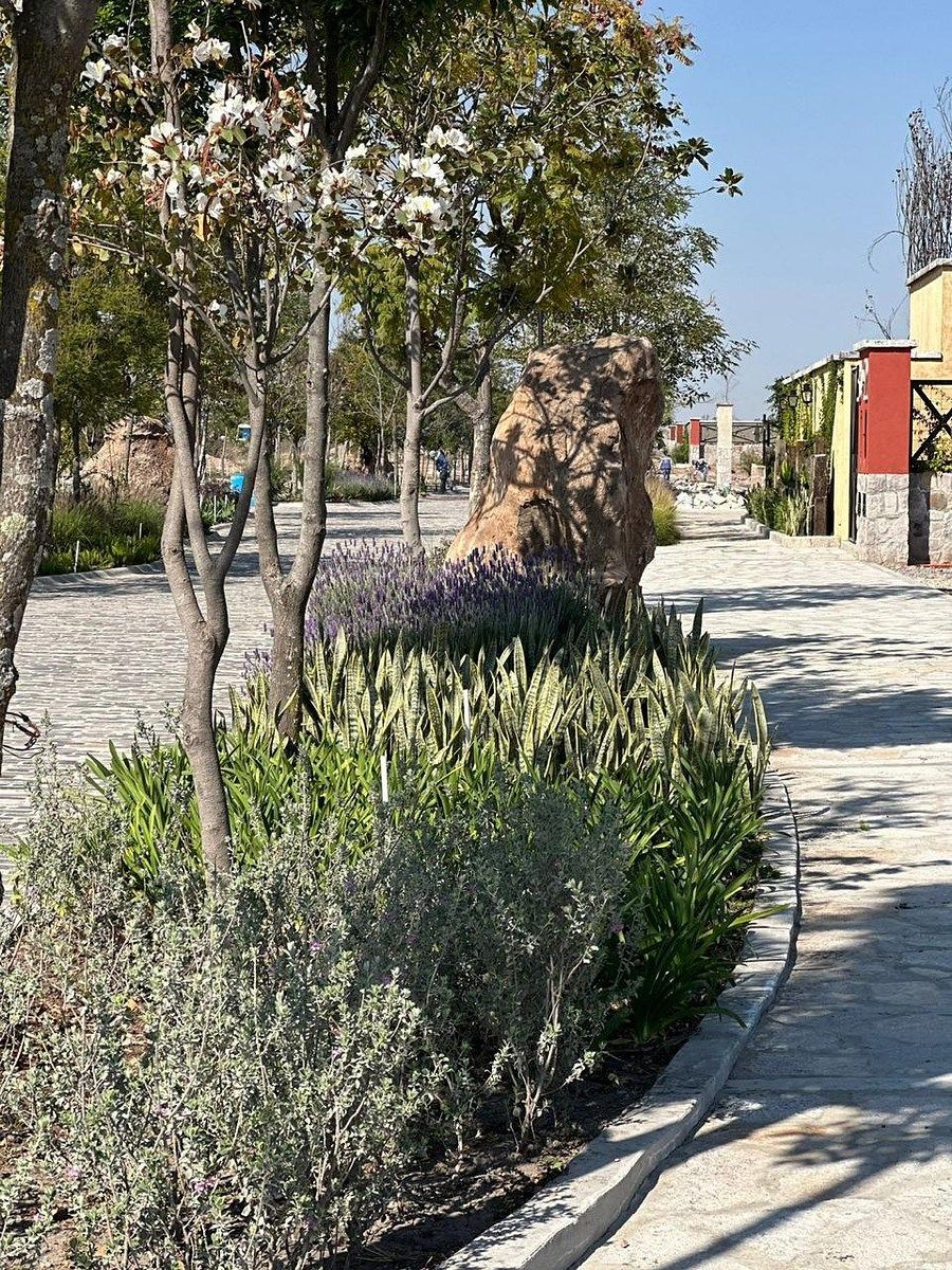 Lote em Alcocer, San Miguel de Allende, foto 12 de 14
