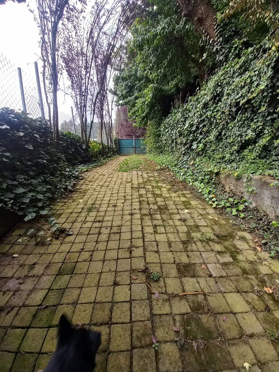 Rancho en Santa Rosa Xochiac, Álvaro Obregón, foto 9 de 11