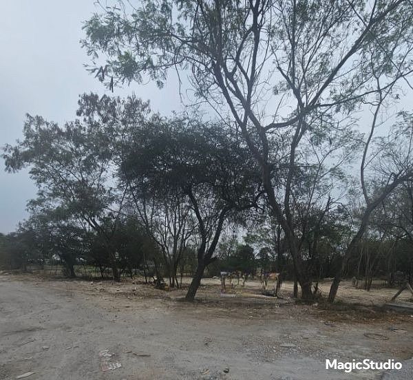 Terreno para Aluguel em Santo Domingo, Apodaca, Nuevo León, foto 1 de 3
