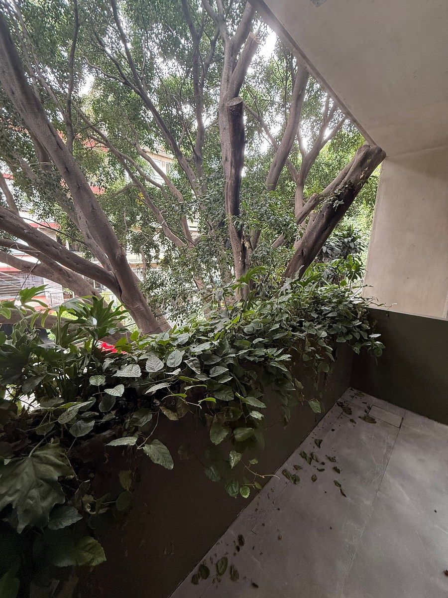 Apartment in Juárez, Cuauhtémoc, photo 16 of 27