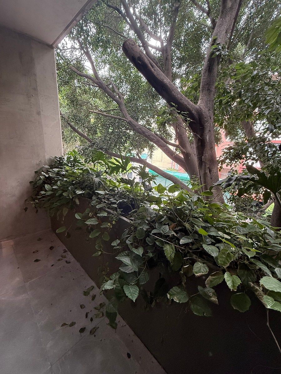 Apartment in Juárez, Cuauhtémoc, photo 18 of 27