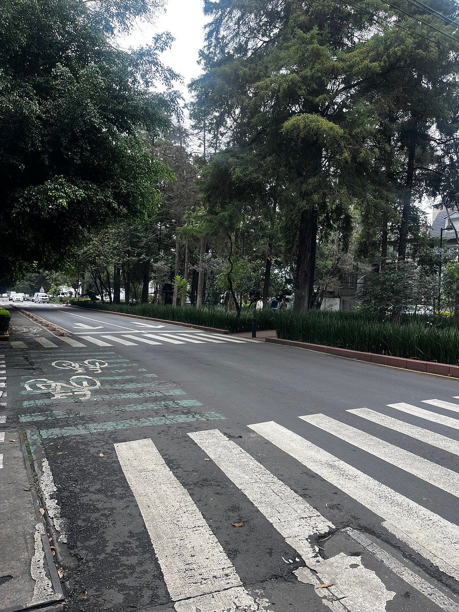 Apartamento em Polanco III Sección, Miguel Hidalgo, foto 10 de 28