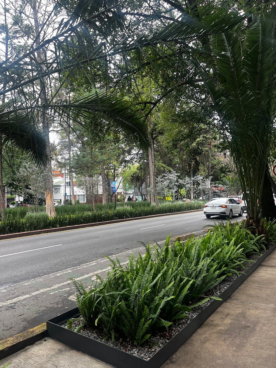 Apartamento em Polanco III Sección, Miguel Hidalgo, foto 12 de 28