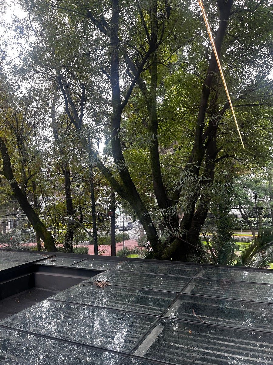 Apartamento em Polanco III Sección, Miguel Hidalgo, foto 21 de 28