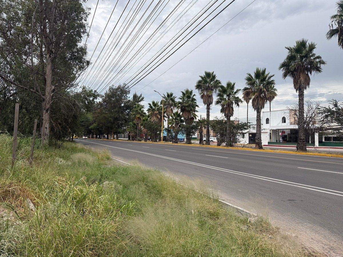 Lot in La Loma de los Negritos, Aguascalientes, photo 7 of 16