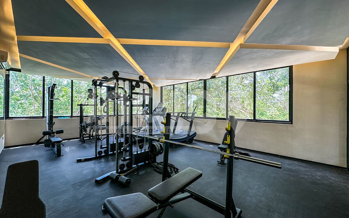 Gimnasio, photo 45 of 50