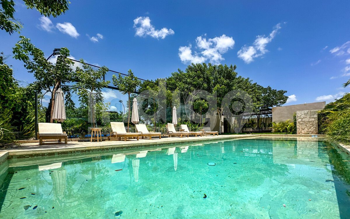 Piscina, photo 48 of 50