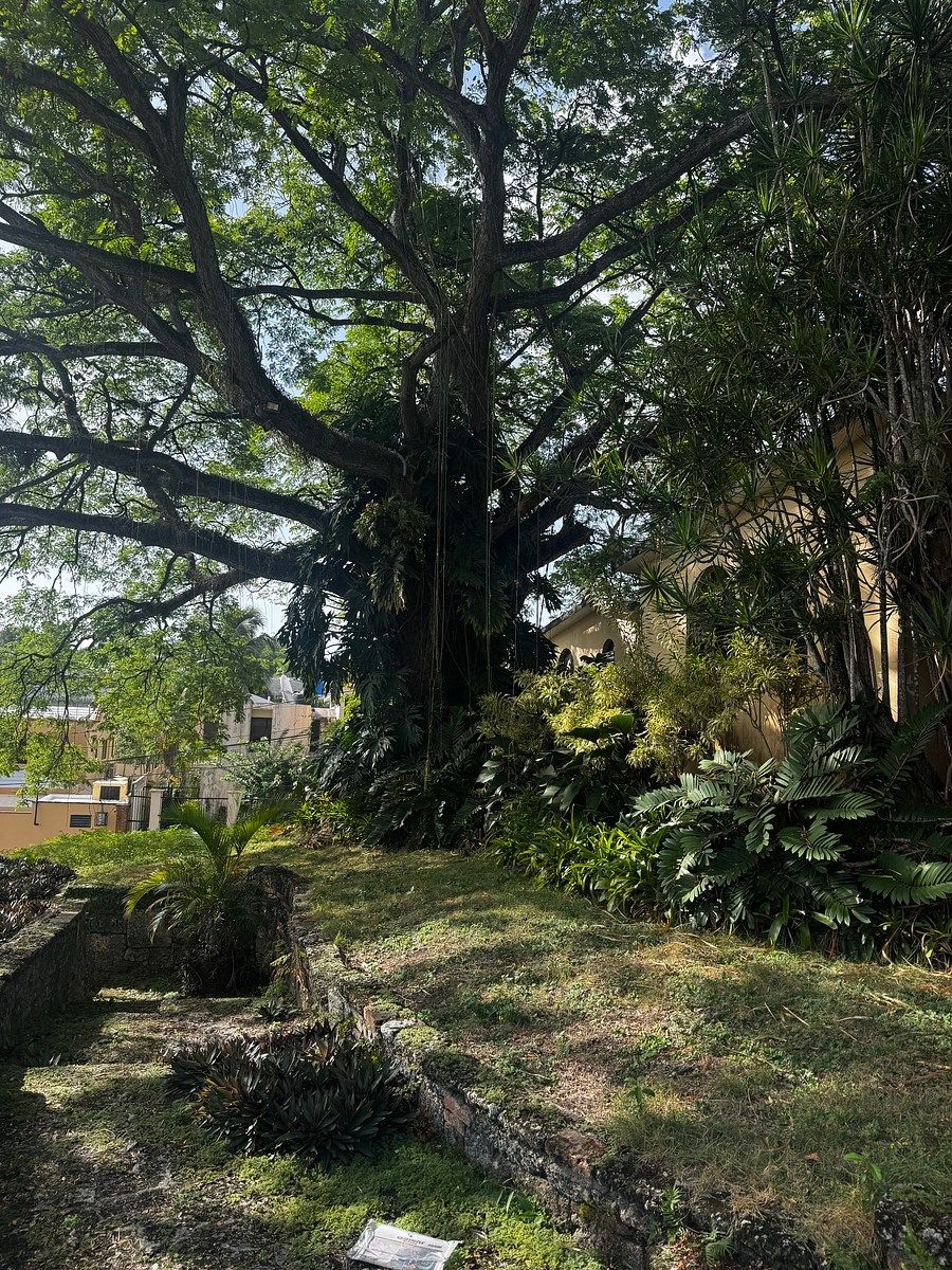 Casa en Viejo Arroyo Hondo, Santo Domingo Centro (Distrito Nacional), foto 21 de 21