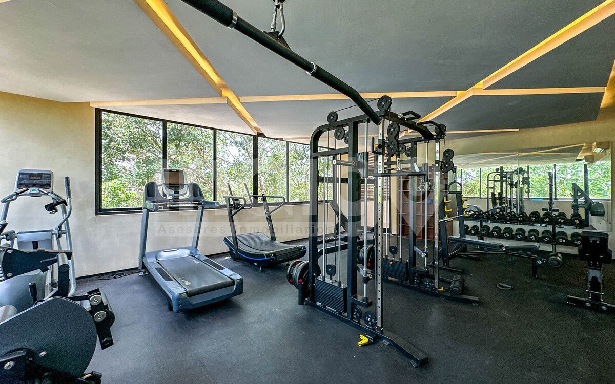 Gimnasio, photo 44 of 48