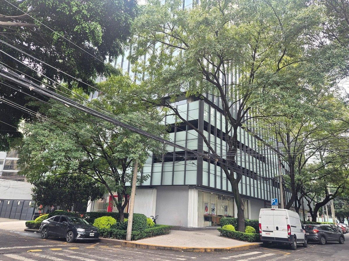 Local em Polanco V Sección, Miguel Hidalgo, foto 11 de 13