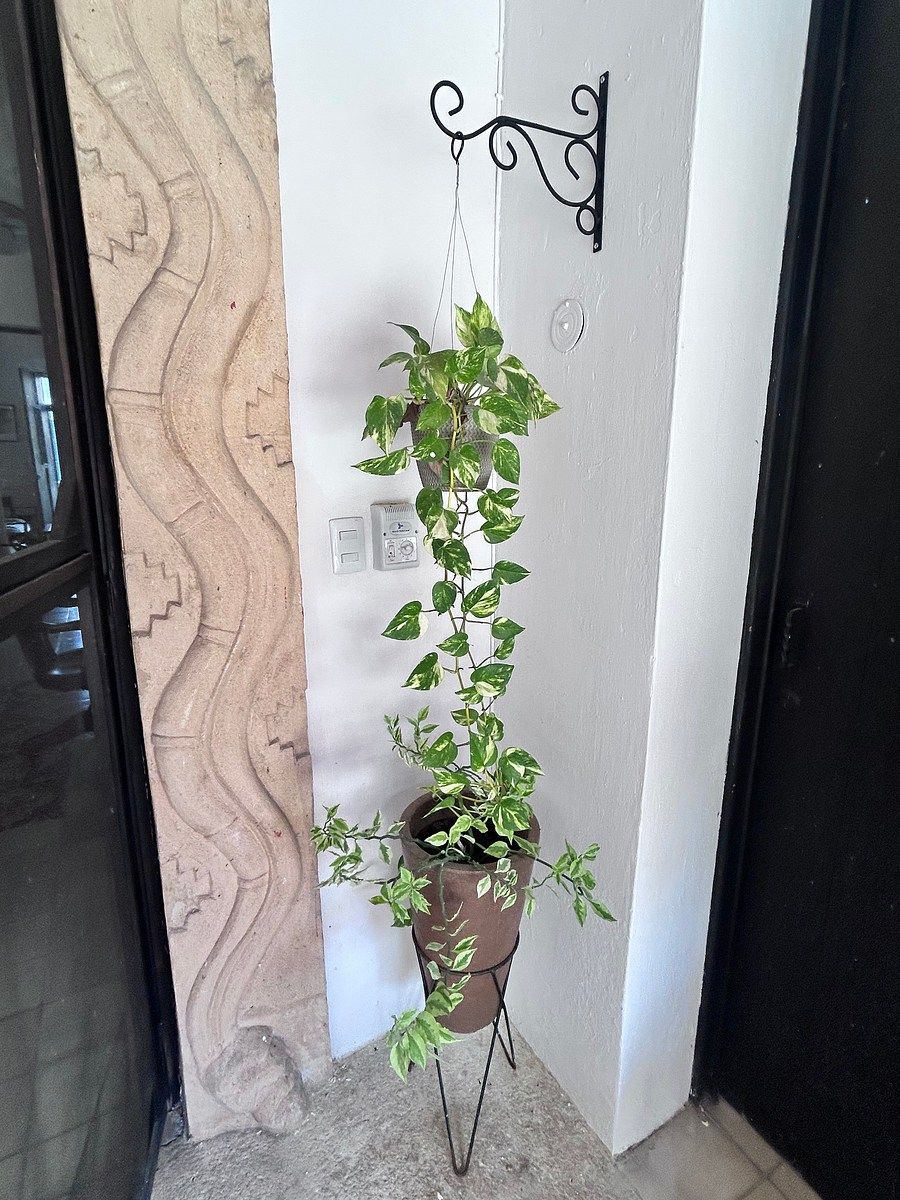 Casa em Mérida Centro, Mérida, foto 17 de 26