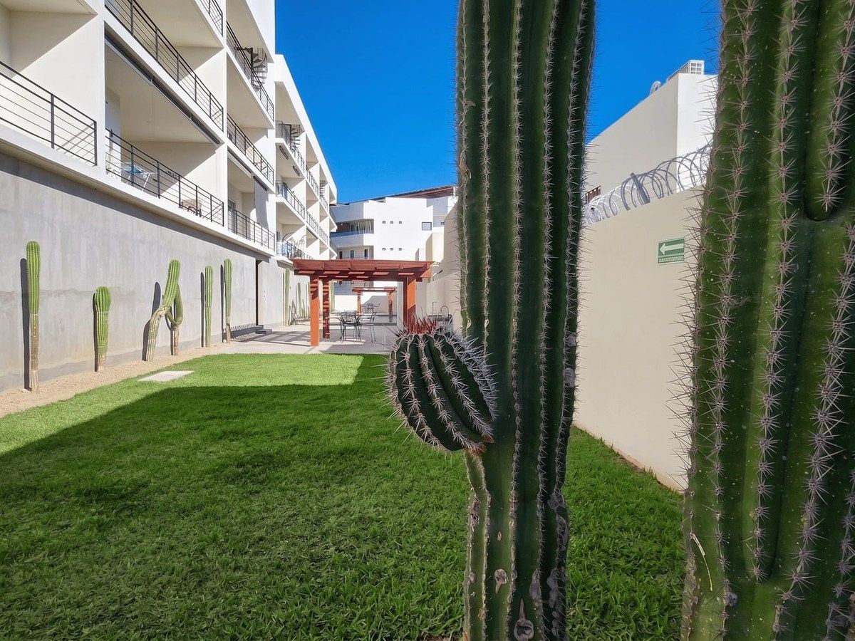 Departamento en El Tezal, Los Cabos, foto 15 de 15