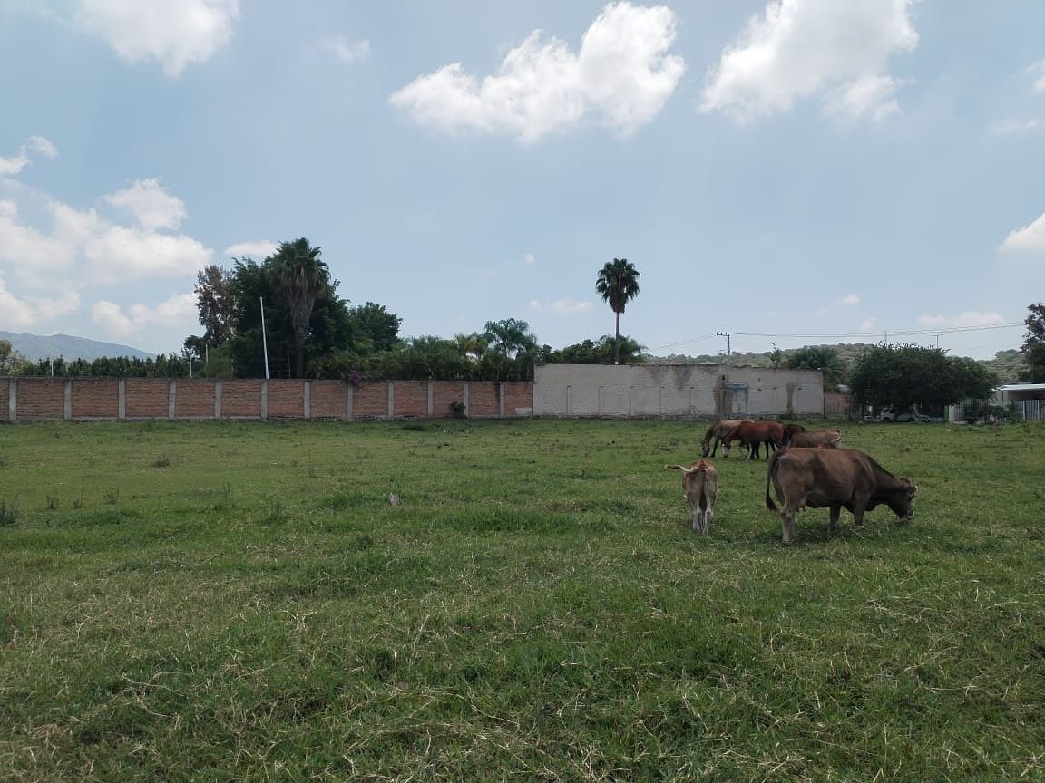 Lot in Santa Cruz del Astillero, El Arenal, photo 2 of 2