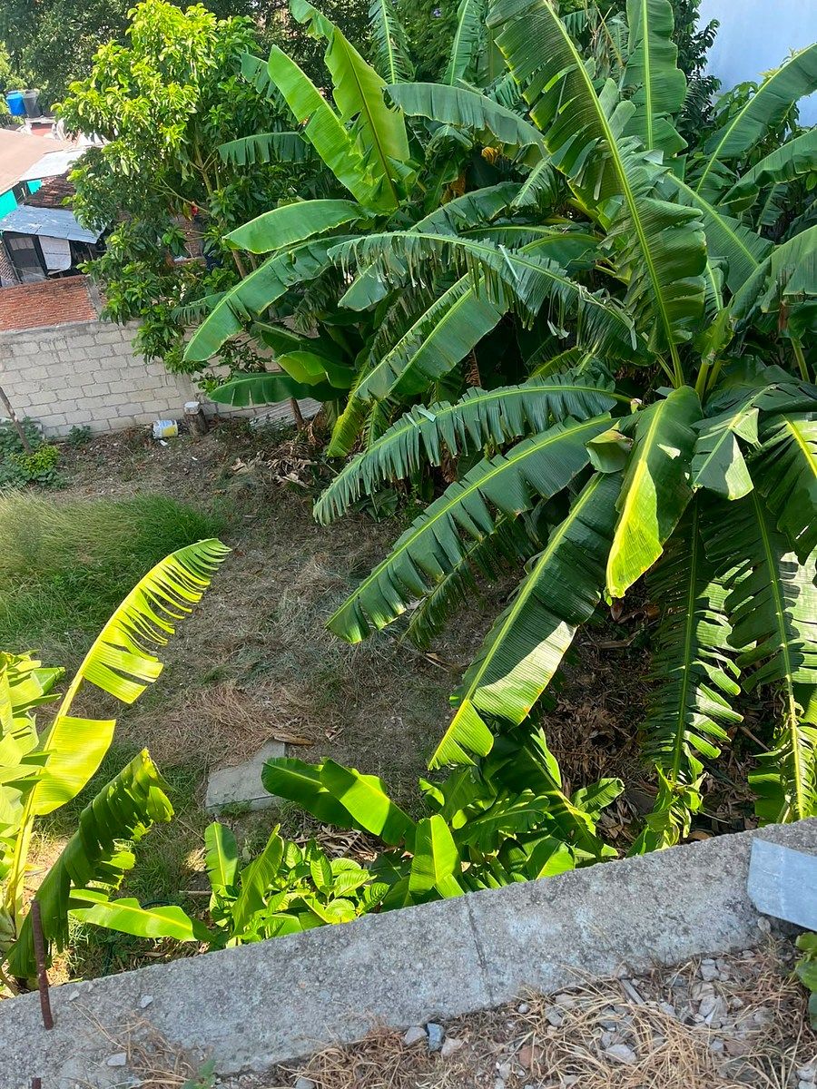 Lot in La Lomita, Tuxtla Gutiérrez, photo 9 of 10
