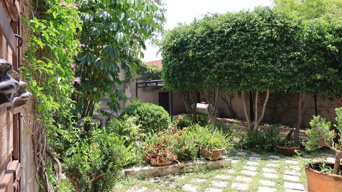 Casa en San Miguel de Allende Centro, San Miguel de Allende, foto 16 de 36