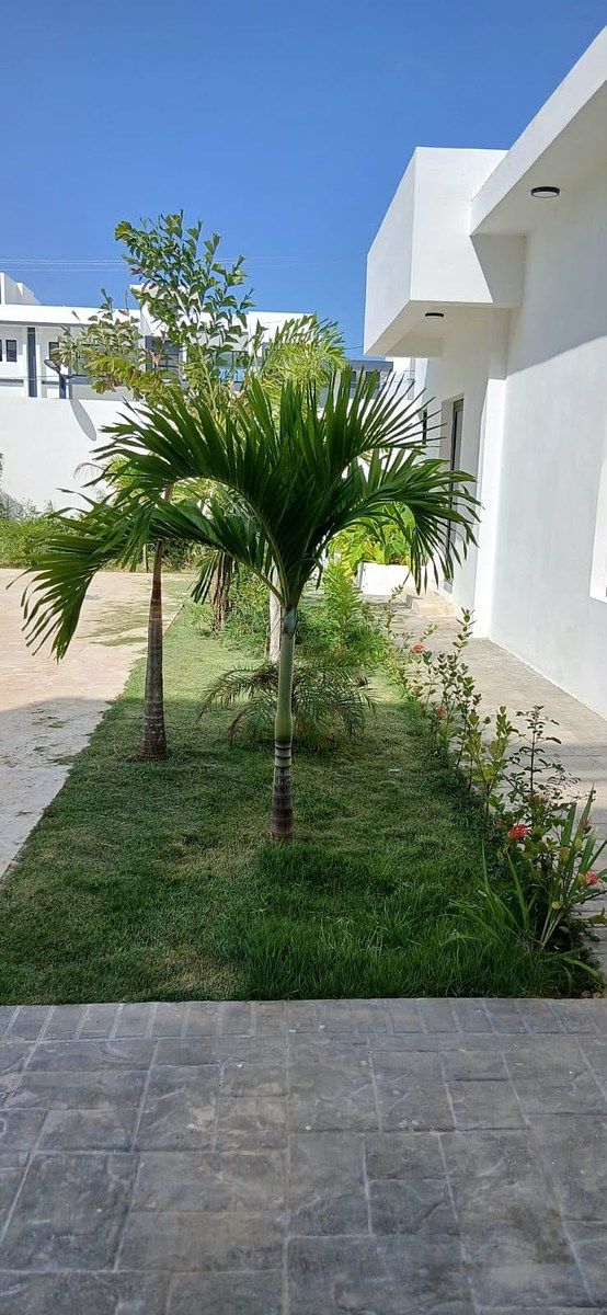 Apartamento en Vista Cana, Bávaro, foto 4 de 14