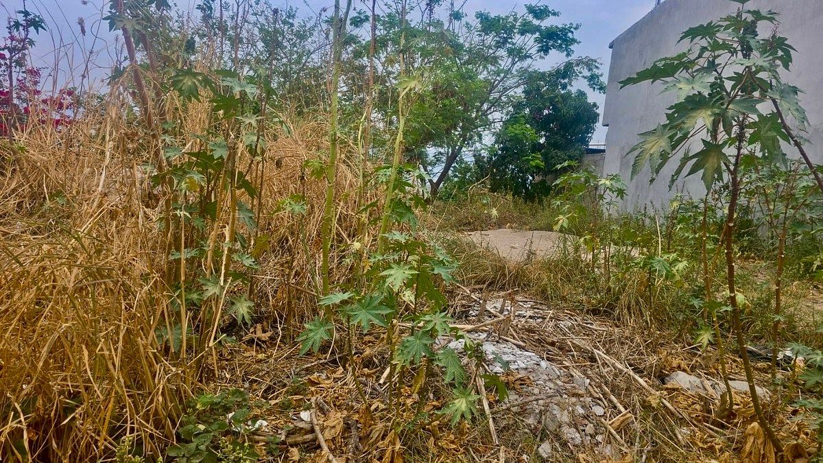 Terreno en Burocrática, Tuxtla Gutiérrez, foto 3 de 5