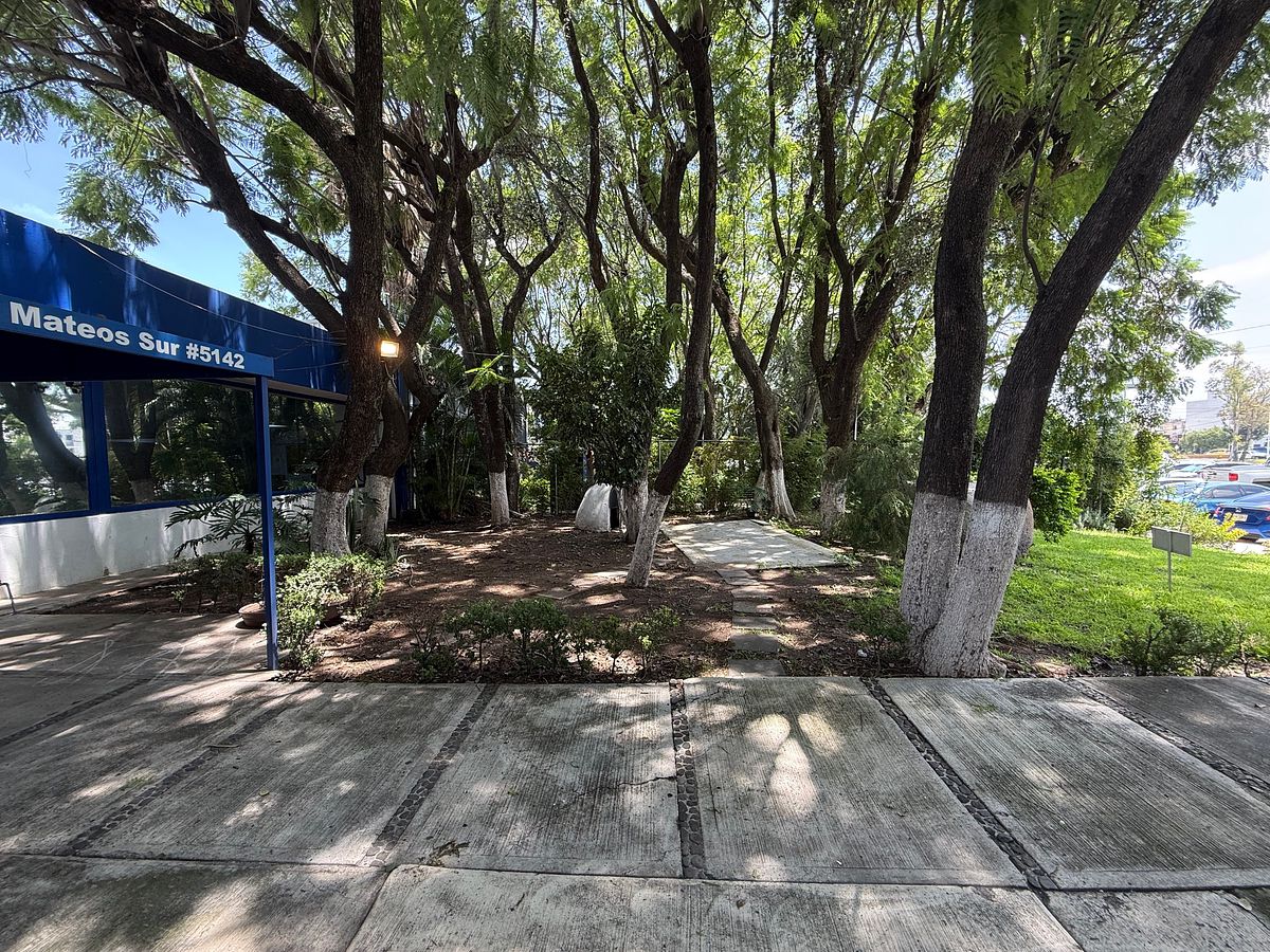 Sala Comercial em La Calma, Zapopan, foto 4 de 34