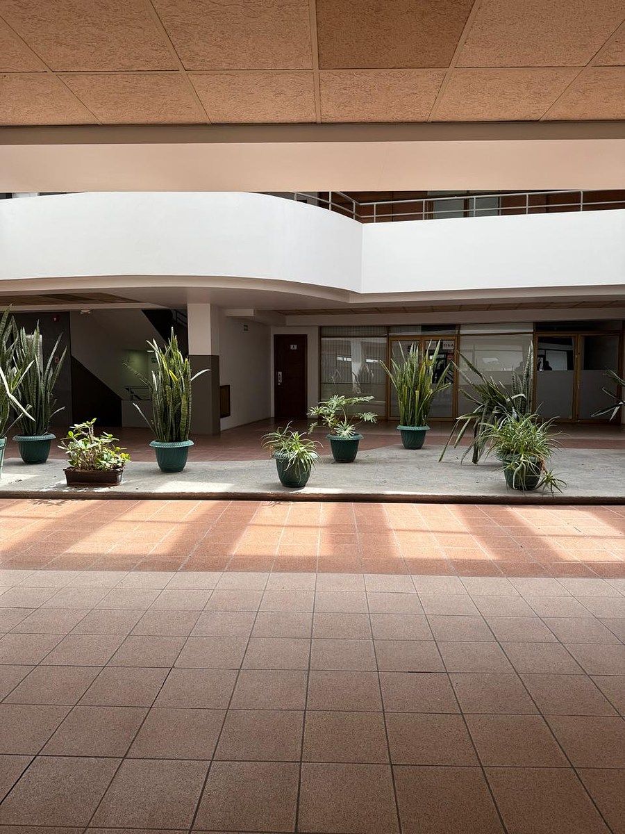 Sala Comercial em Moderna, Guadalajara, foto 2 de 6