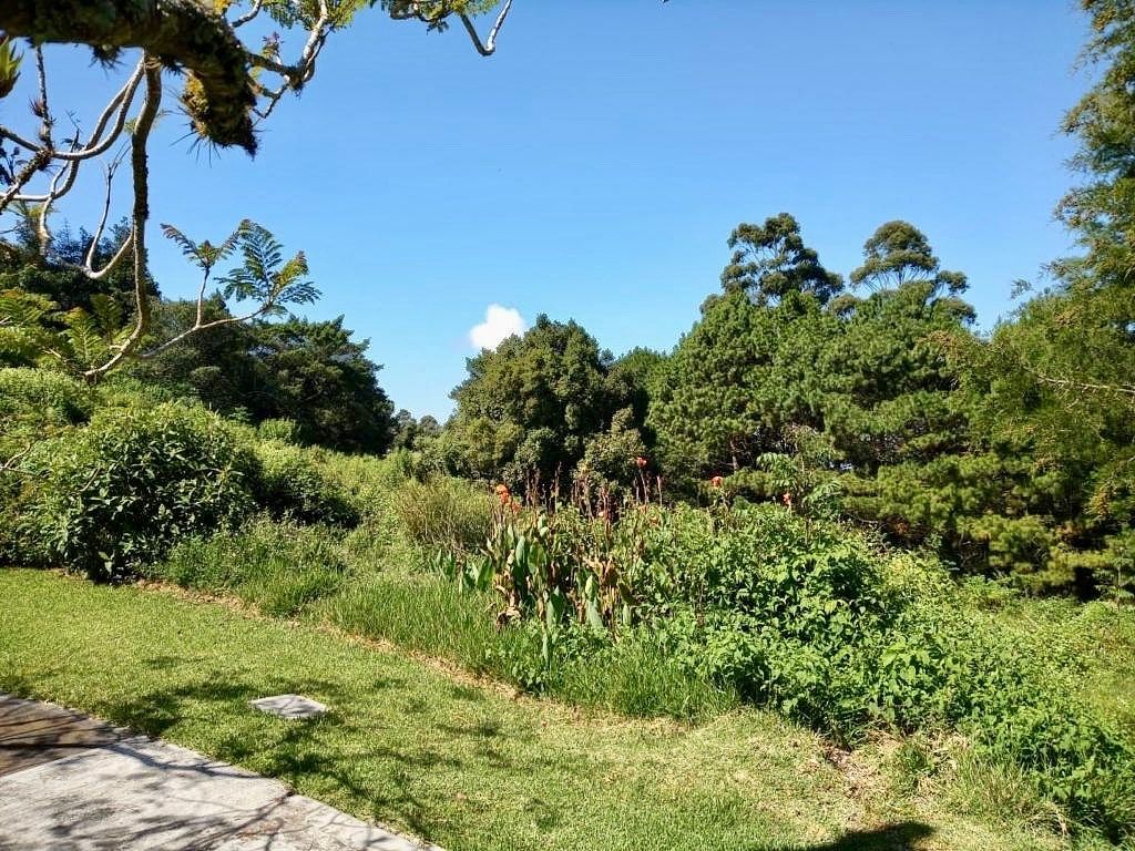 Terreno en Fraijanes, foto 4 de 6