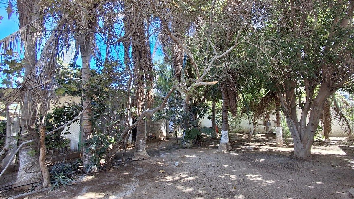 Casa en San Pedro, La Paz, foto 7 de 49