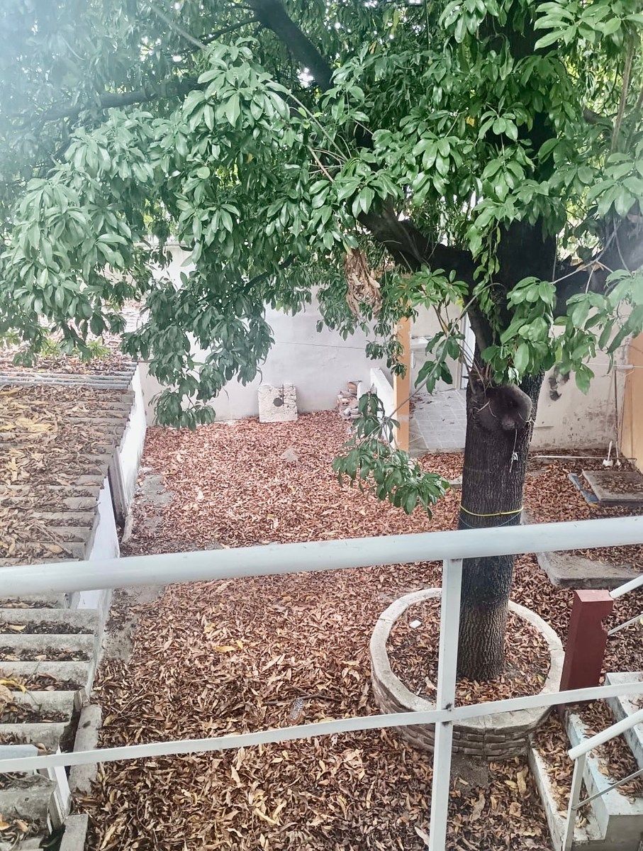 Casa en Albania Baja, Tuxtla Gutiérrez, foto 23 de 24