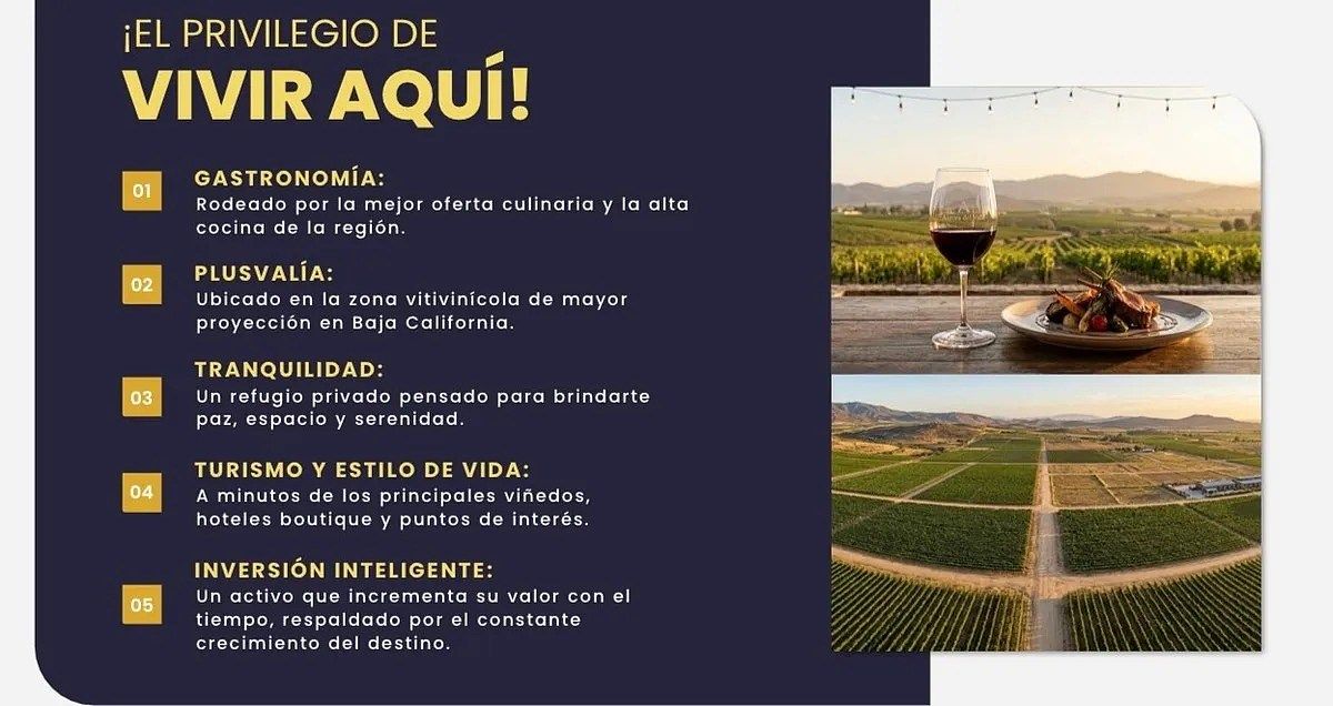 Lote em Valle de Guadalupe, Ensenada, foto 9 de 17