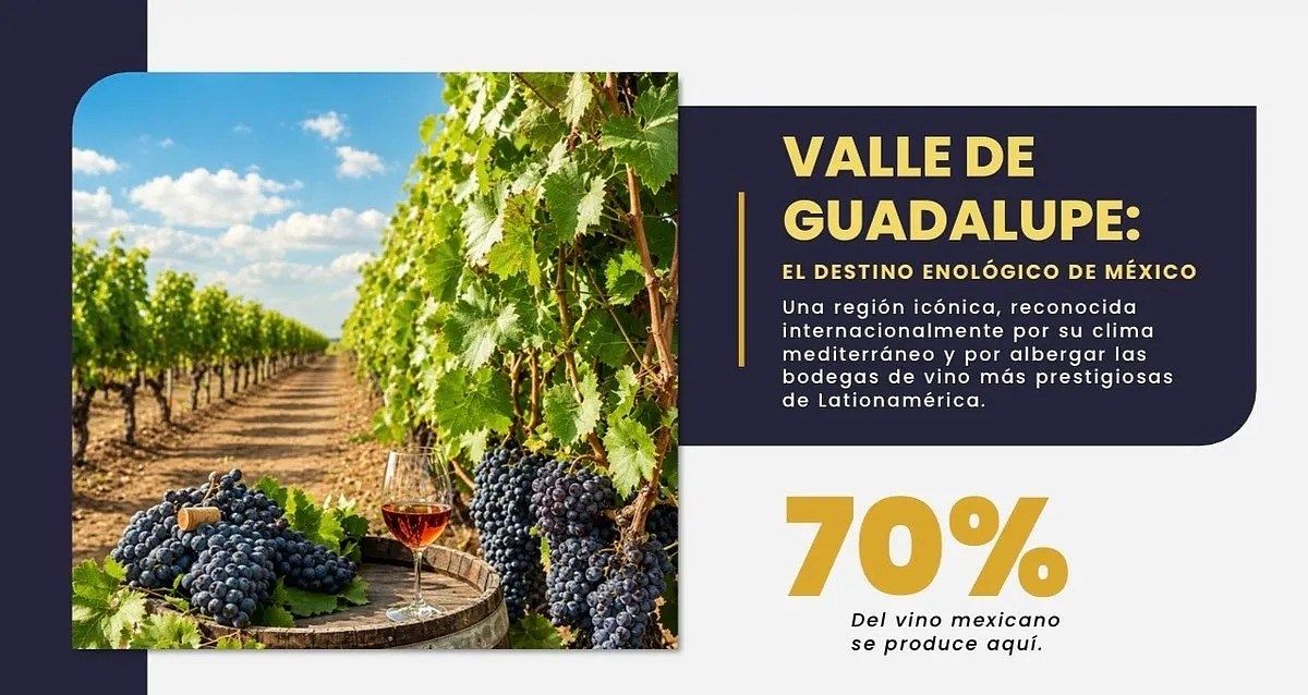 Lote em Valle de Guadalupe, Ensenada, foto 5 de 17