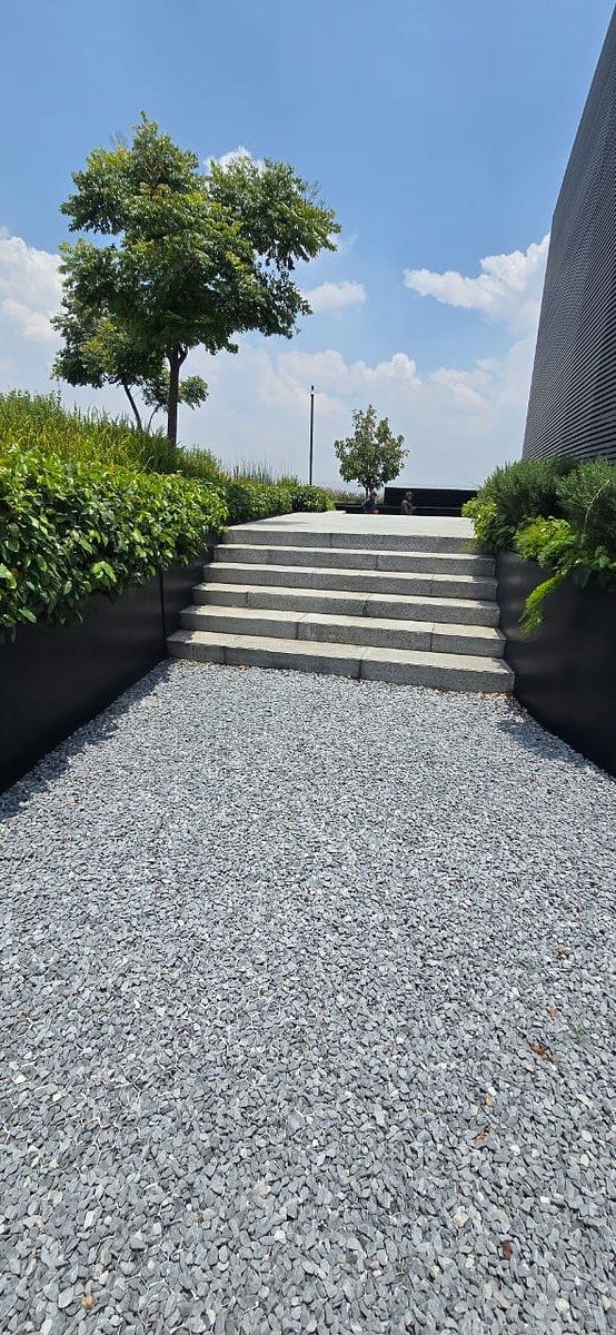 Sala Comercial em Polanco V Sección, Miguel Hidalgo, foto 4 de 18