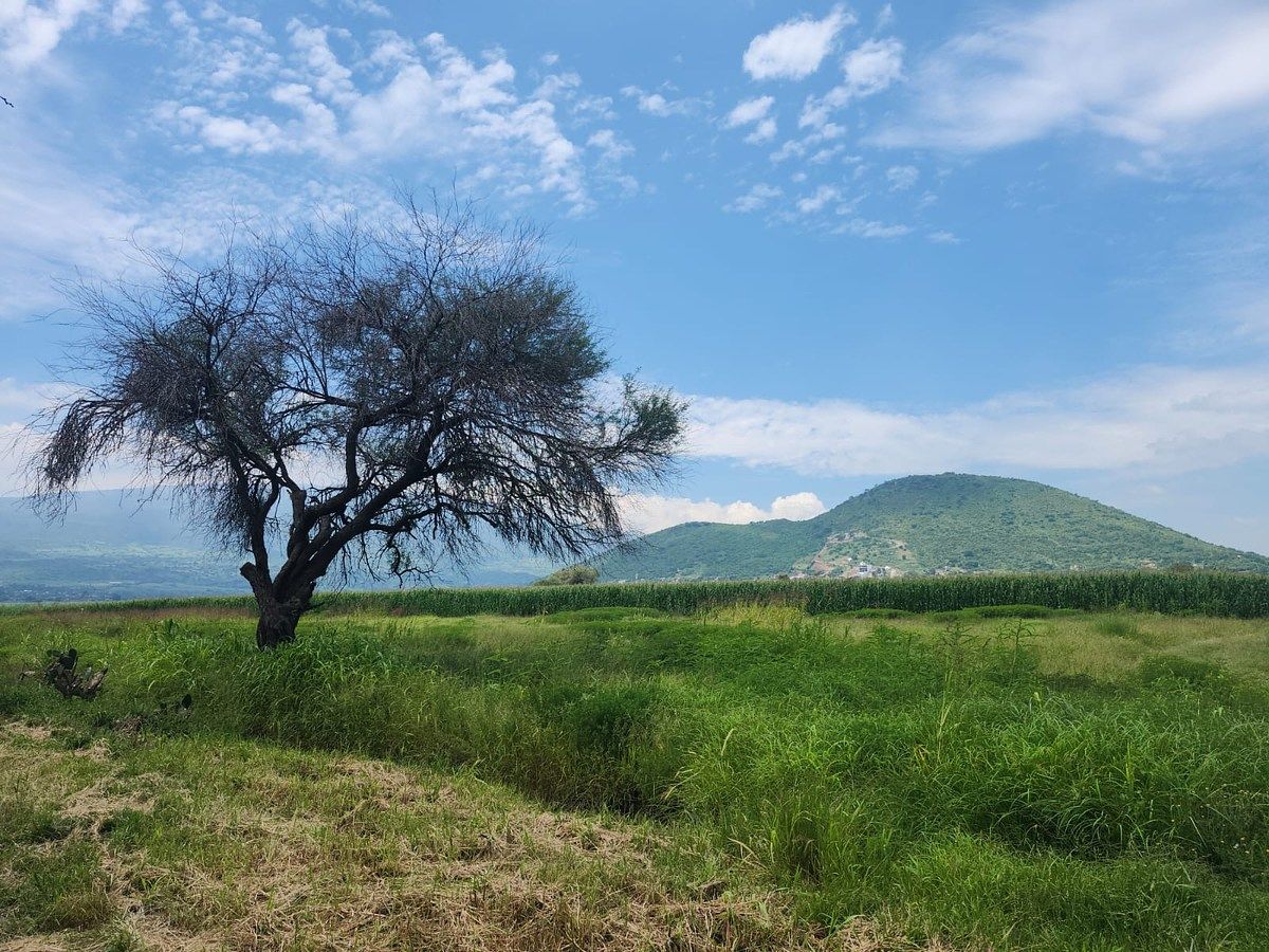 TERRENO À VENDA EM FRENTE À LAGOA DE CAJITITLAN, foto 1 de 33