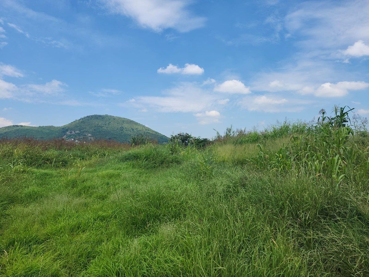 Lote em Cuexcomatitlán, Tlajomulco de Zúñiga, foto 10 de 33