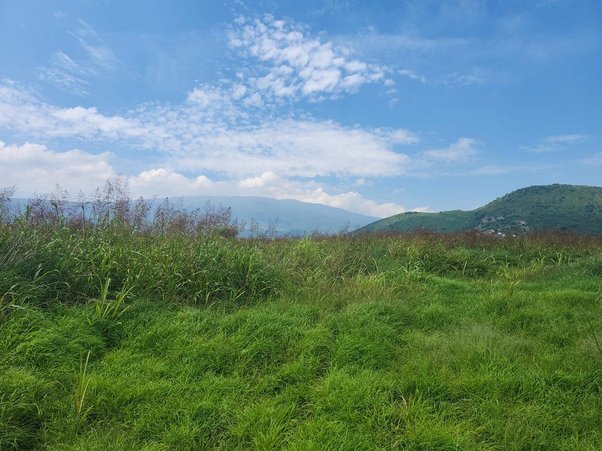 Lote em Cuexcomatitlán, Tlajomulco de Zúñiga, foto 11 de 33