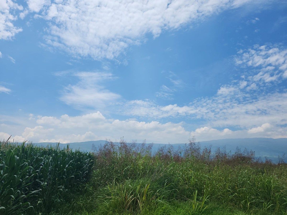 Lote em Cuexcomatitlán, Tlajomulco de Zúñiga, foto 15 de 33