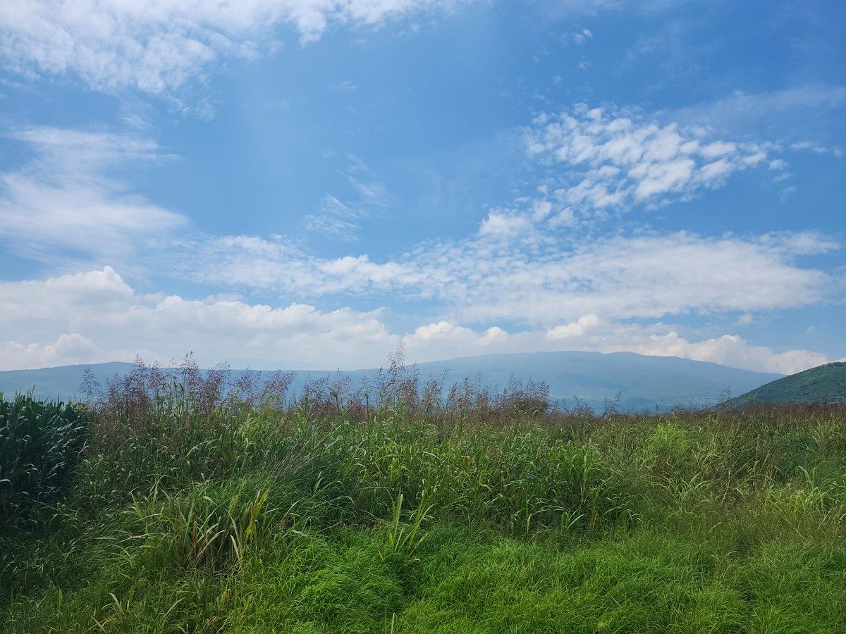Lote em Cuexcomatitlán, Tlajomulco de Zúñiga, foto 16 de 33