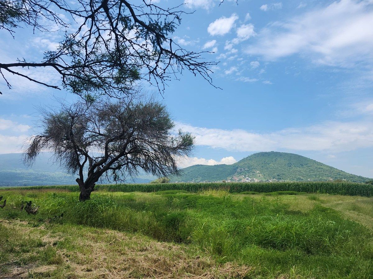 Lote em Cuexcomatitlán, Tlajomulco de Zúñiga, foto 19 de 33