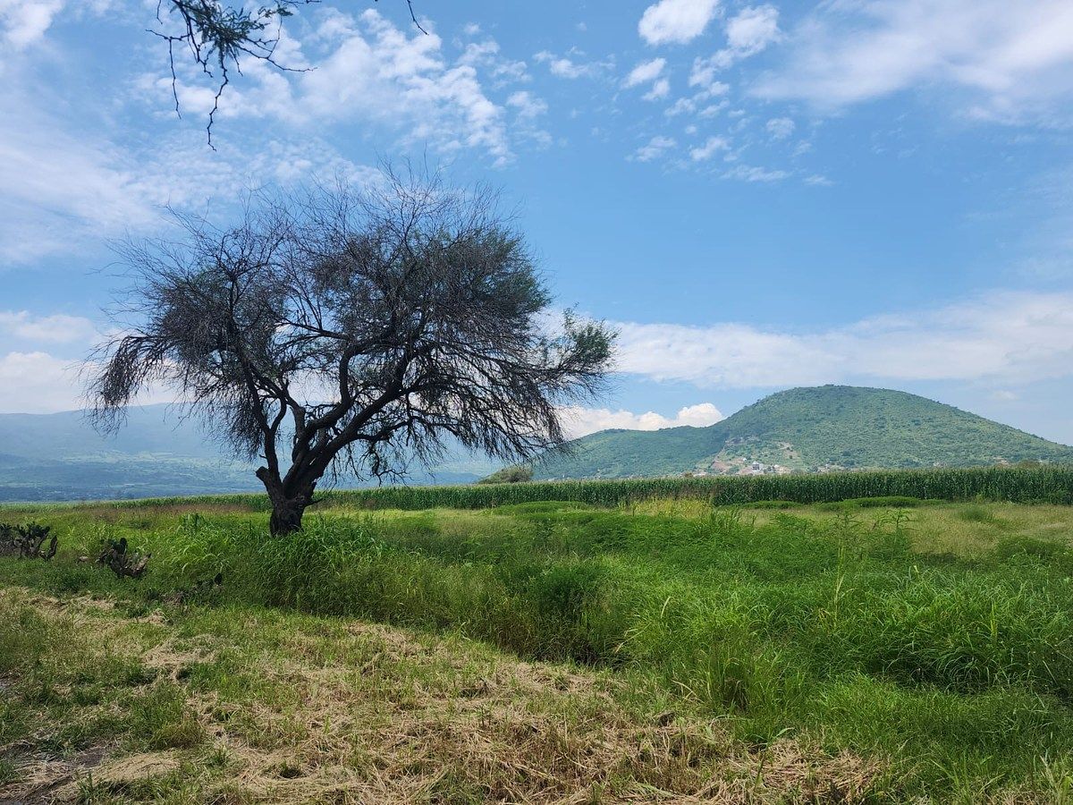 Lote em Cuexcomatitlán, Tlajomulco de Zúñiga, foto 20 de 33