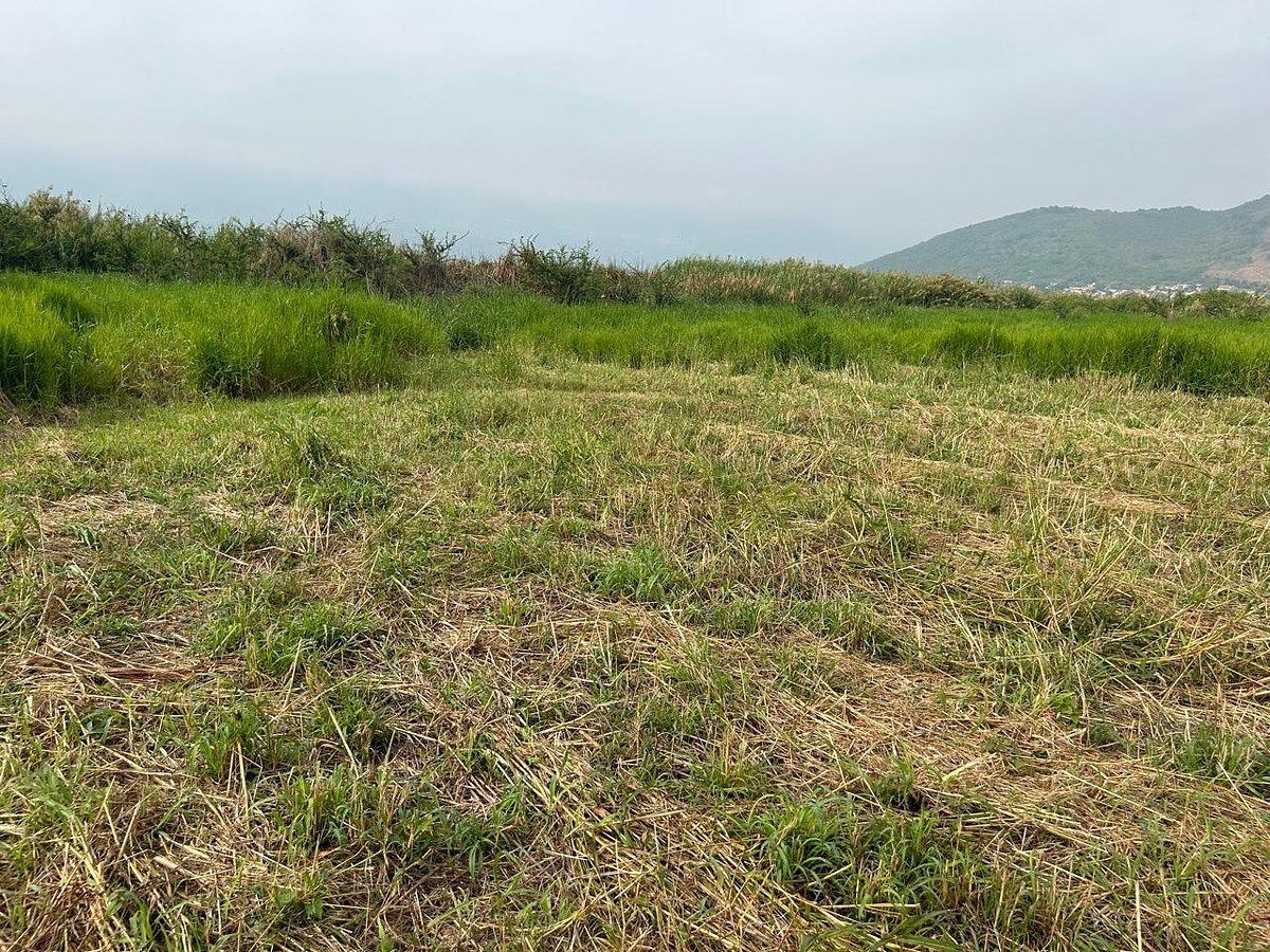 Lote em Cuexcomatitlán, Tlajomulco de Zúñiga, foto 25 de 33