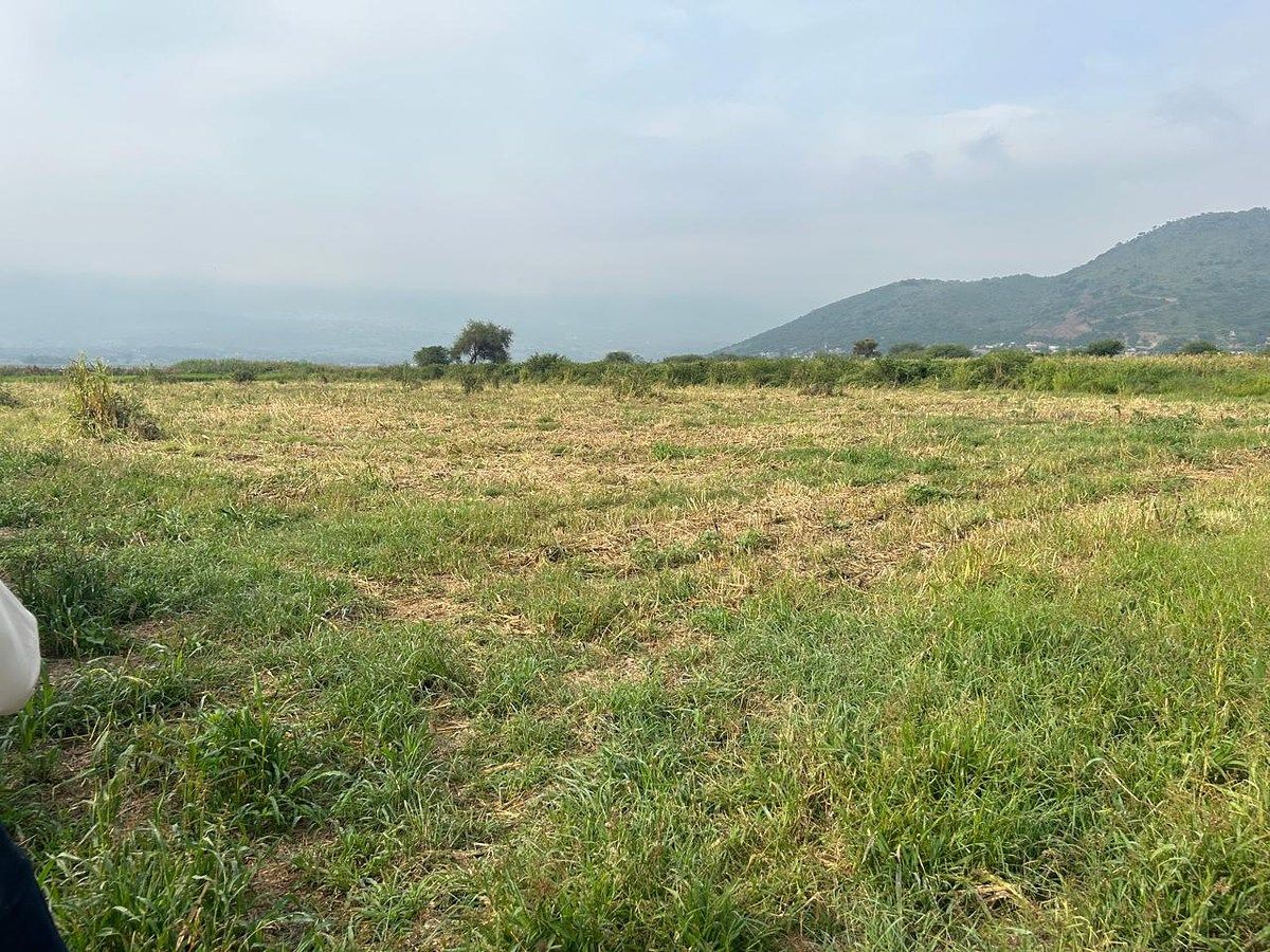 Lote em Cuexcomatitlán, Tlajomulco de Zúñiga, foto 26 de 33