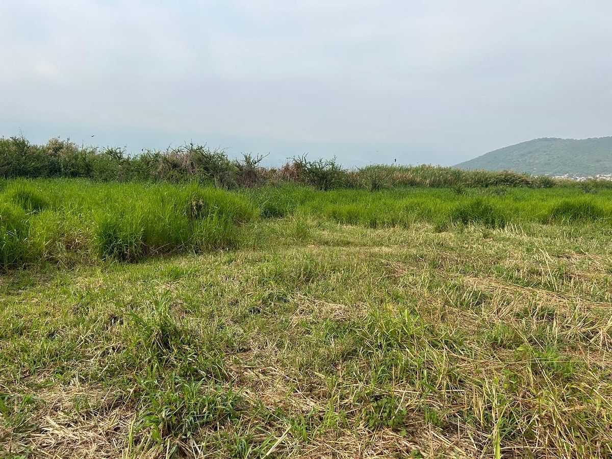 Lote em Cuexcomatitlán, Tlajomulco de Zúñiga, foto 27 de 33