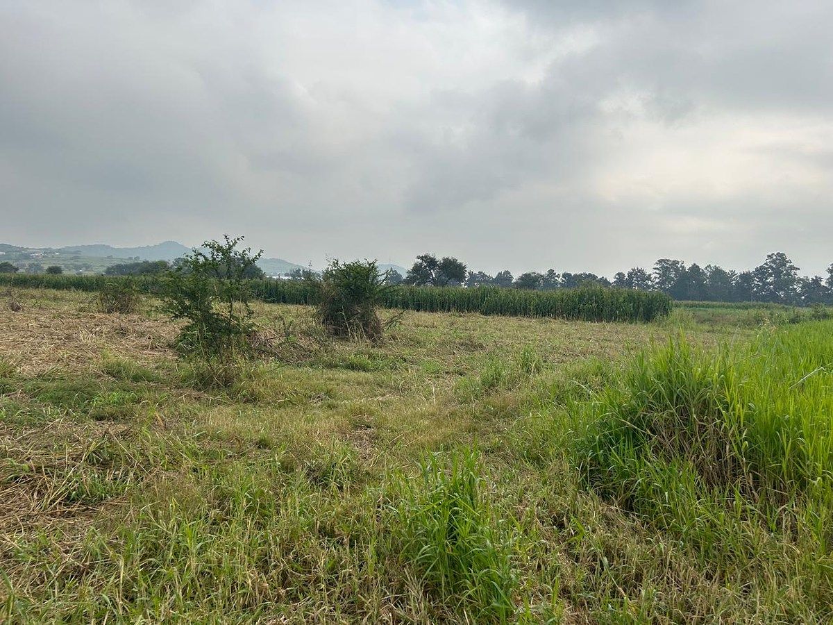 Lote em Cuexcomatitlán, Tlajomulco de Zúñiga, foto 29 de 33