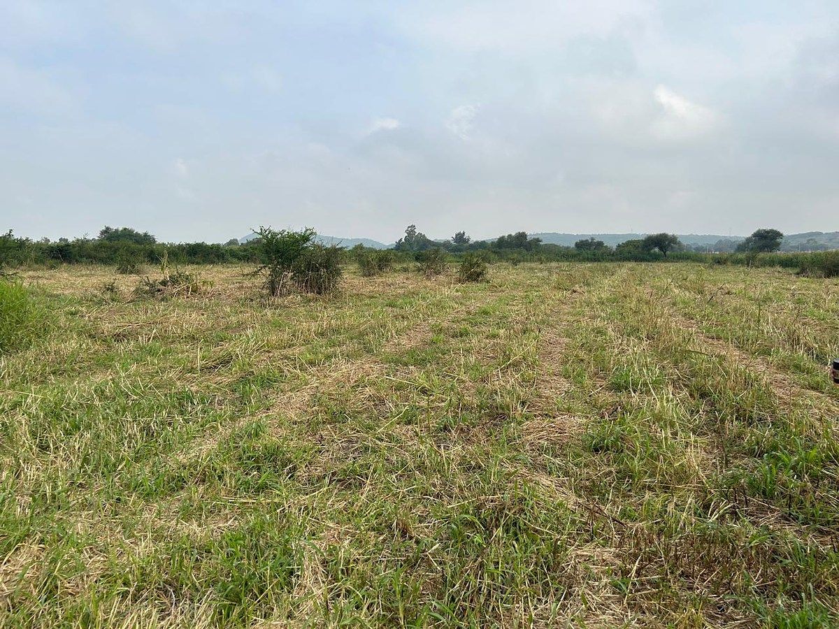 Lote em Cuexcomatitlán, Tlajomulco de Zúñiga, foto 30 de 33