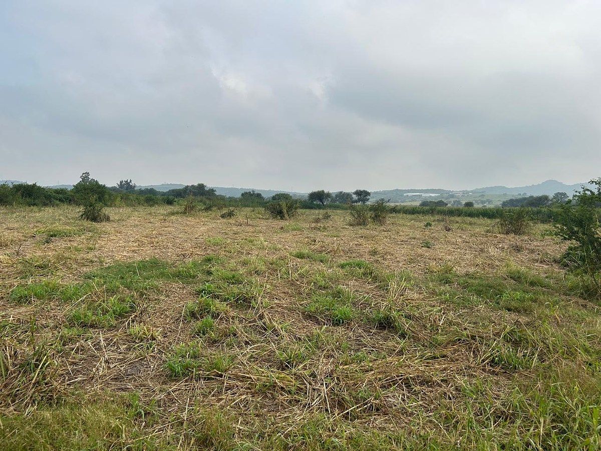 Lote em Cuexcomatitlán, Tlajomulco de Zúñiga, foto 33 de 33