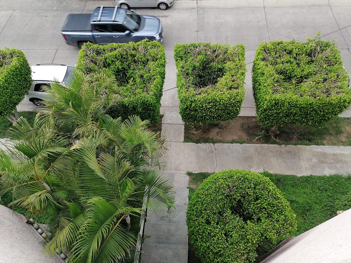 Apartment in Rinconada de La Calma, Zapopan, photo 3 of 12