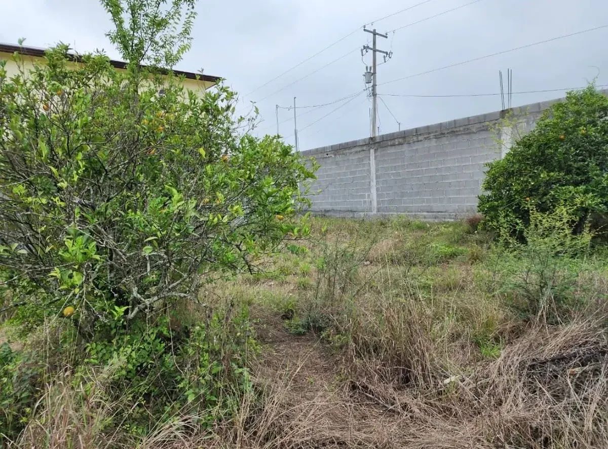 Lot in Las Raíces, Allende, photo 3 of 6