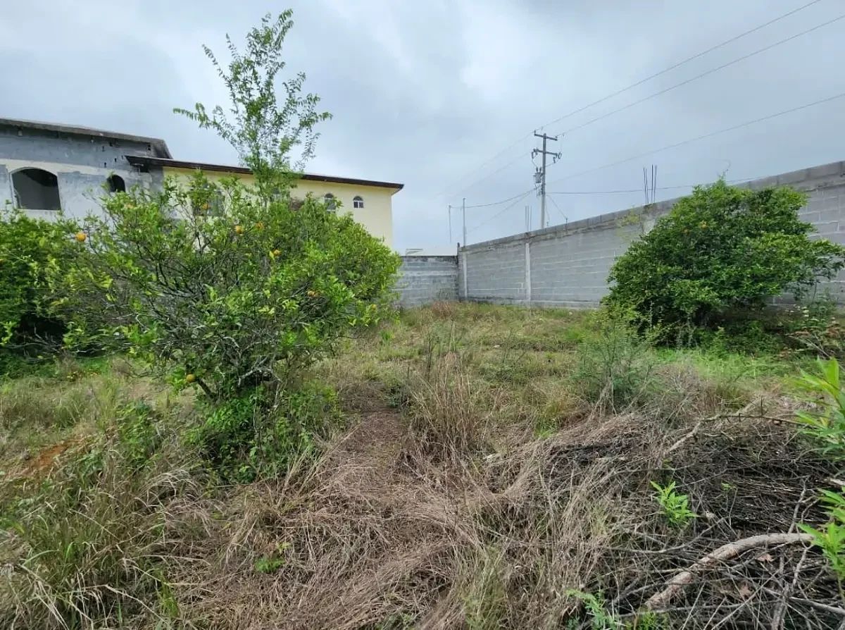 Lot in Las Raíces, Allende, photo 4 of 6