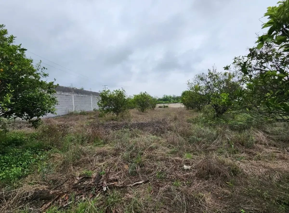 Lot in Las Raíces, Allende, photo 5 of 6