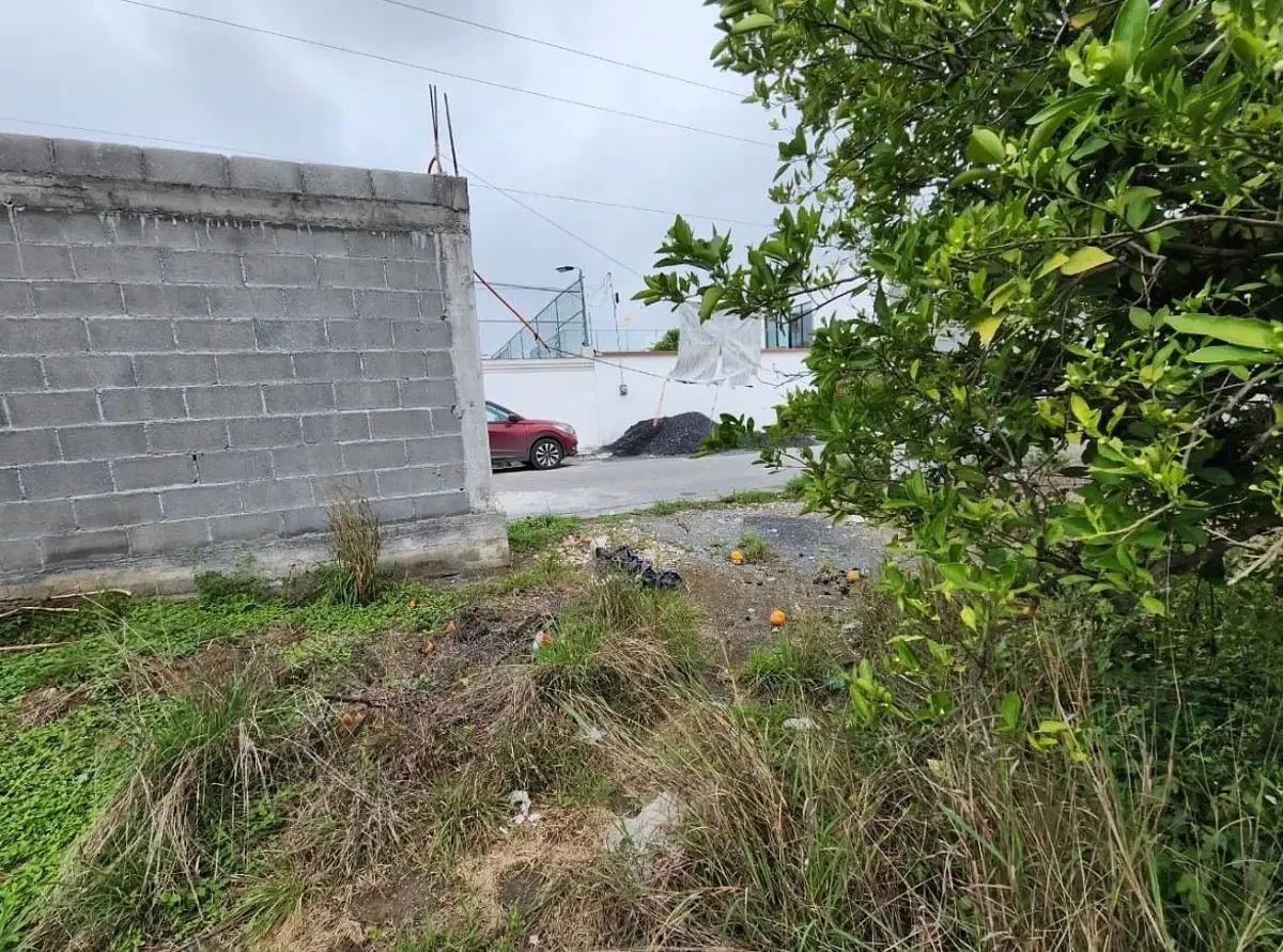 Lot in Las Raíces, Allende, photo 6 of 6