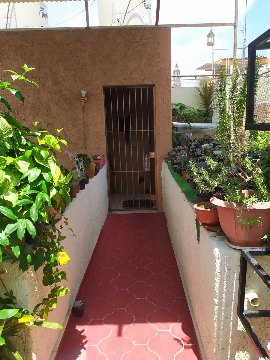 Departamento en Guadalajara Centro, Guadalajara, foto 3 de 19