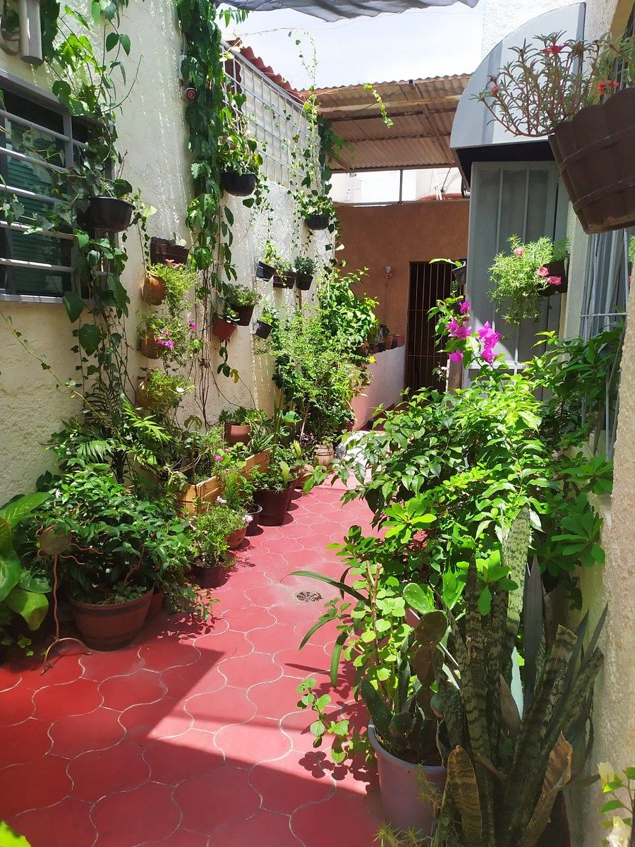 Departamento en Guadalajara Centro, Guadalajara, foto 2 de 19